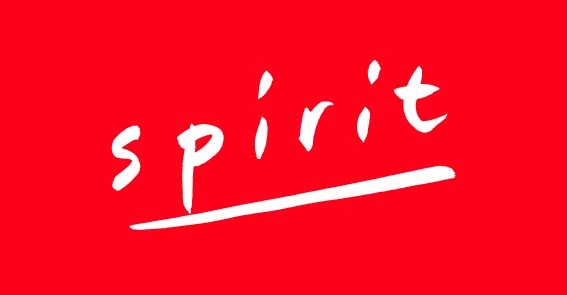 Spirit REIM Services